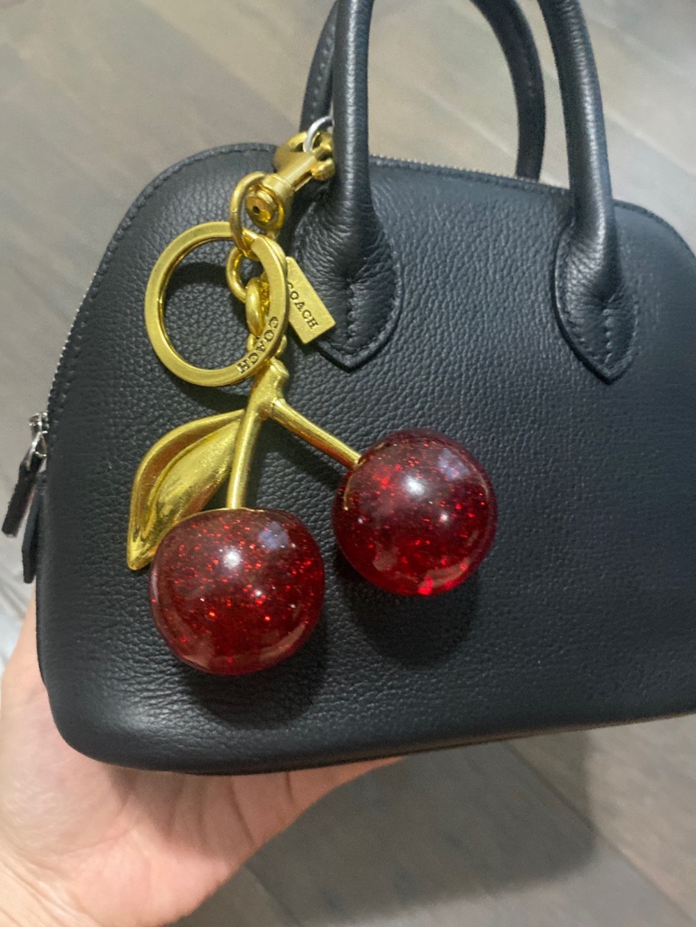Coach Cherry charm for bag/keychain